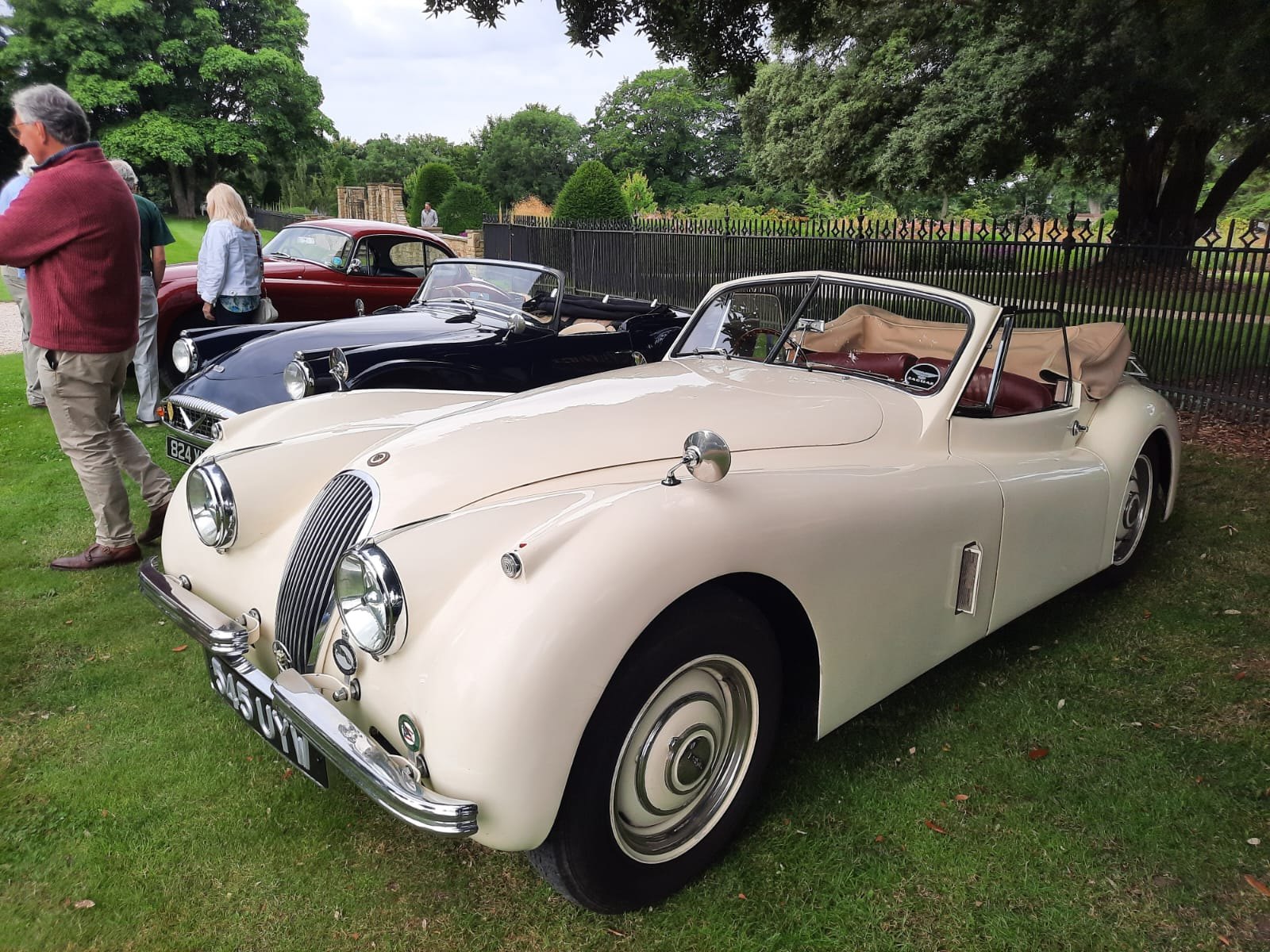 Jaguar XK120 Roadster in cream color at a car show